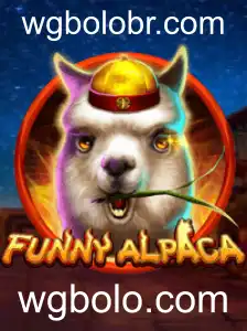Descubra o Mundo Divertido de FunnyAlpaca